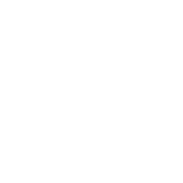 motivo-4